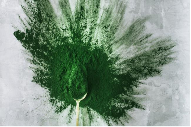 כף ועליה אבקת ספירולינה